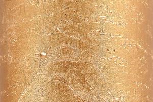 13077608 776_8 (1) (1)