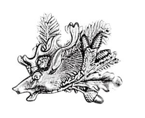 Badge deer head with oak leaf
