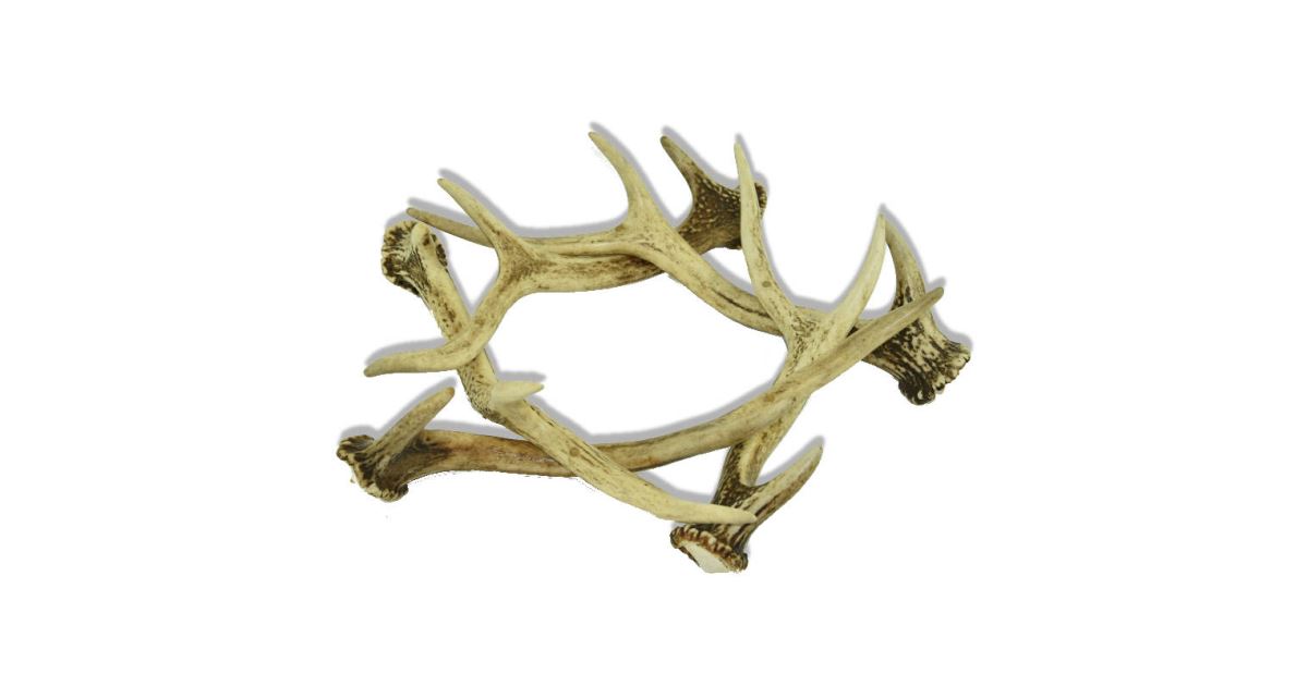 Sika Deer Antler Wreath For Champagne Pail Vase Or Decorative Glass