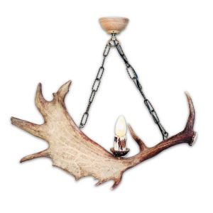 Fallow deer antler chandelier with 1 candle lamp