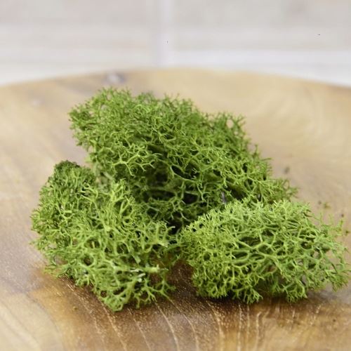1310LIC44BB500g (1)