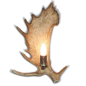 Fallow deer antler wall lamp 1537213