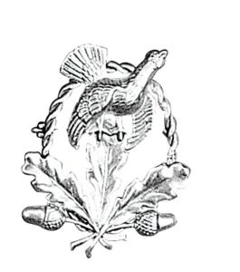 Badge capercaillie with acorns