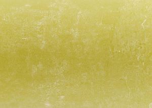 590_39 (1) (1)