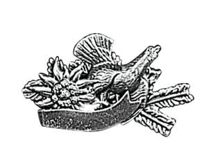 Badge capercaillie with edelweiss