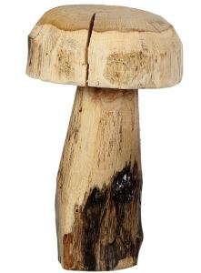 Wooden decorative mushroom, natural 20-23 x 40 cm