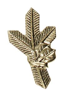 Badge on lapels - golden pine twig left