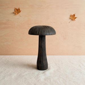 houba_produktovka (1)