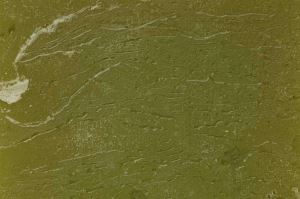 13030538 (1) (1)