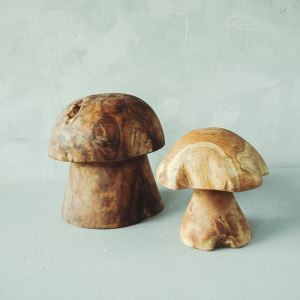 Dekoraźnˇ houba Kudup.jpg (4)