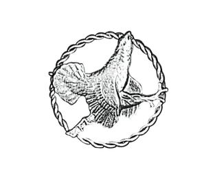 Odznak ARTURE tetřev v kroužku 2618