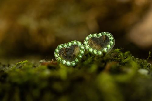 Antler earrings heart with Peridot crystals and surgical steel shaft