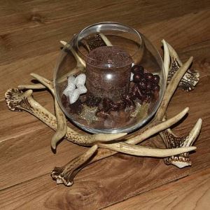 17_1801_foto3.jpg (3)