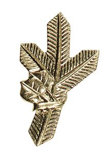 Badge on lapels - golden pine twig right