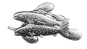Badge trouts