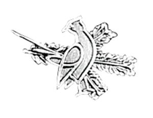 Odznak ARTURE špendlík bažant s úlomkem 2630